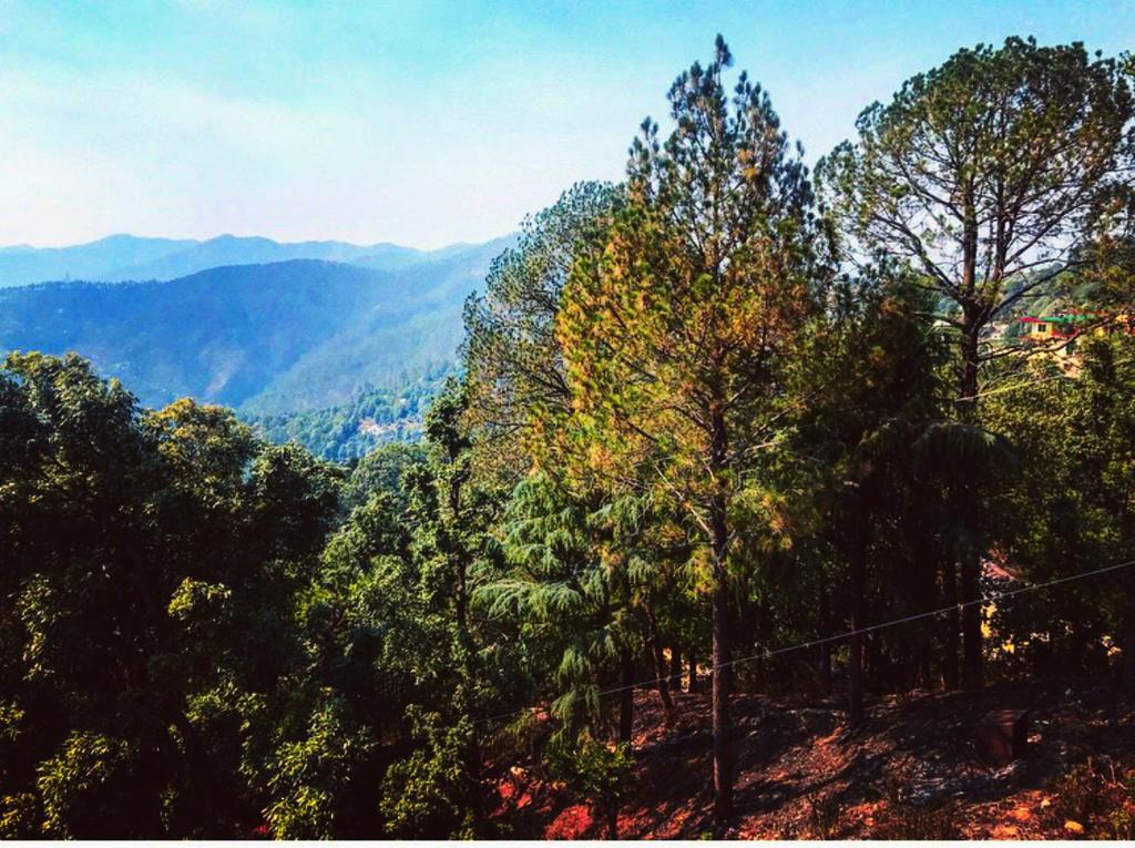 The Valley View, Lansdowne, Uttarakhand