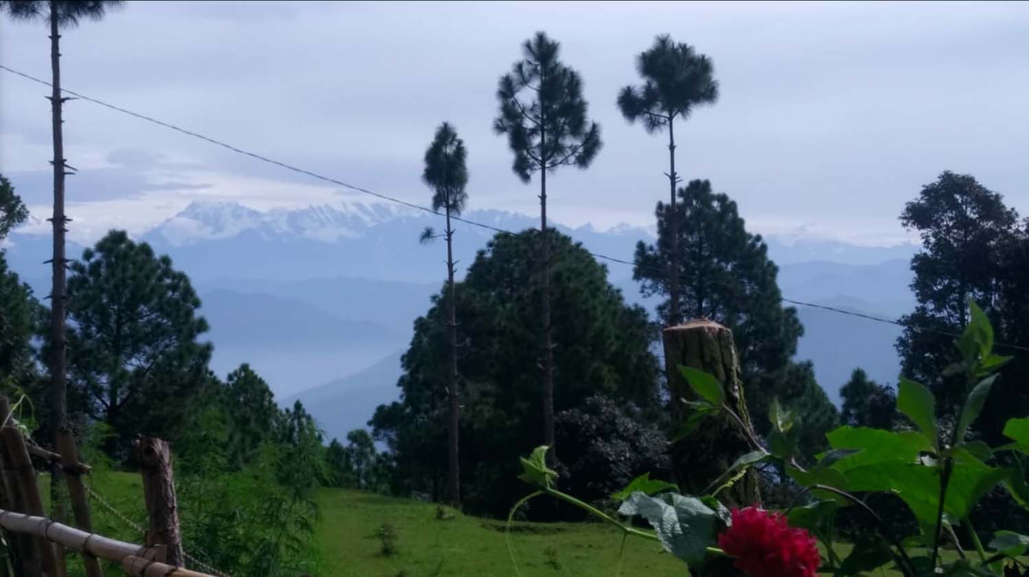 Muluk Homestay ,Uttarakhand