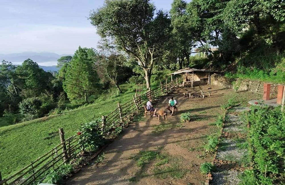 Muluk Homestay ,Uttarakhand