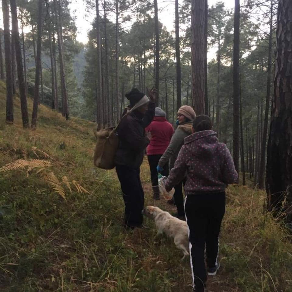 Muluk Homestay ,Uttarakhand