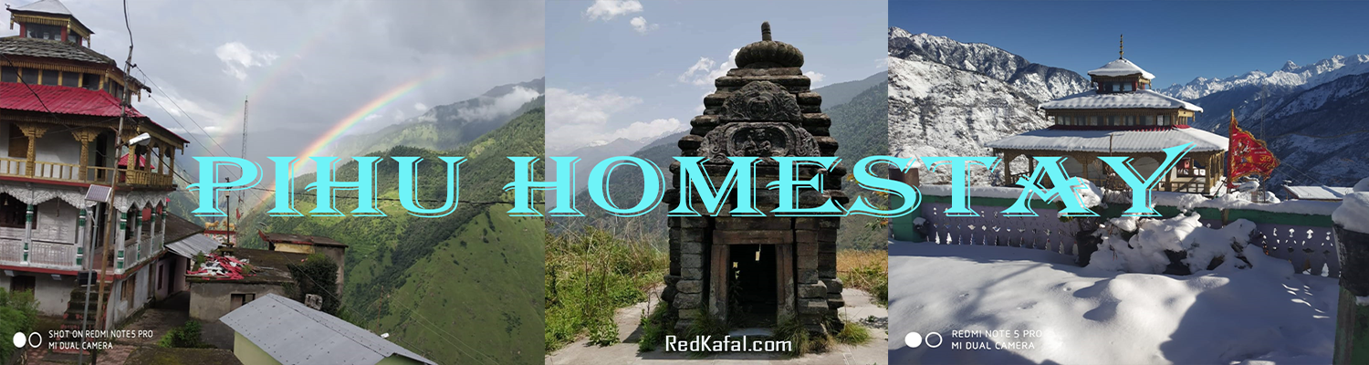 Welcome to Homestay Community